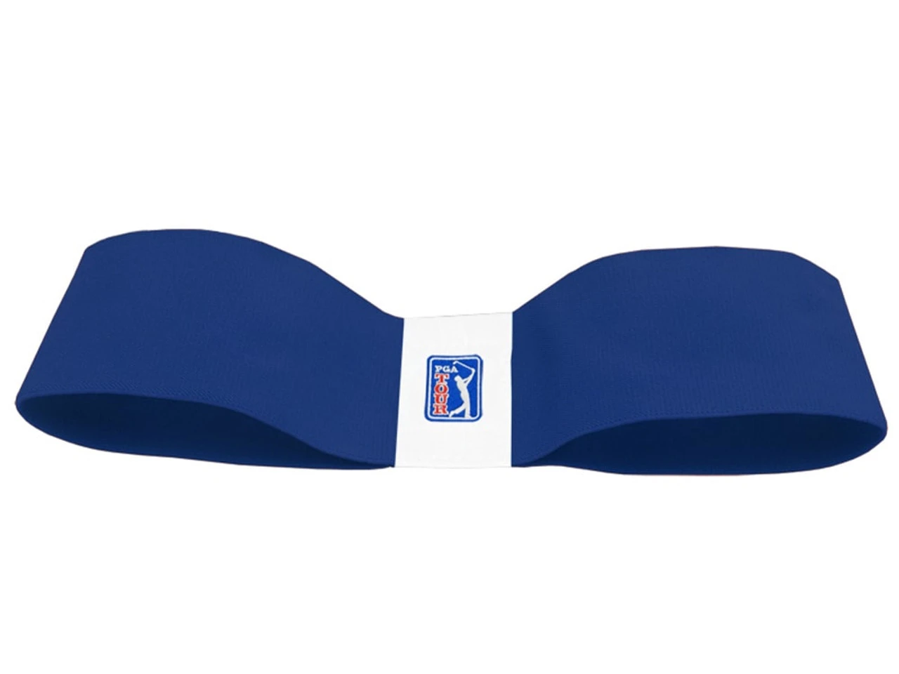 PGA Tour Swing Trainer 1 PGA Tour Swing Trainer