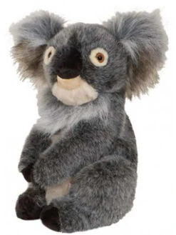 Daphne Koala Headcover