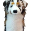 Daphne Australian Shepherd Headcover