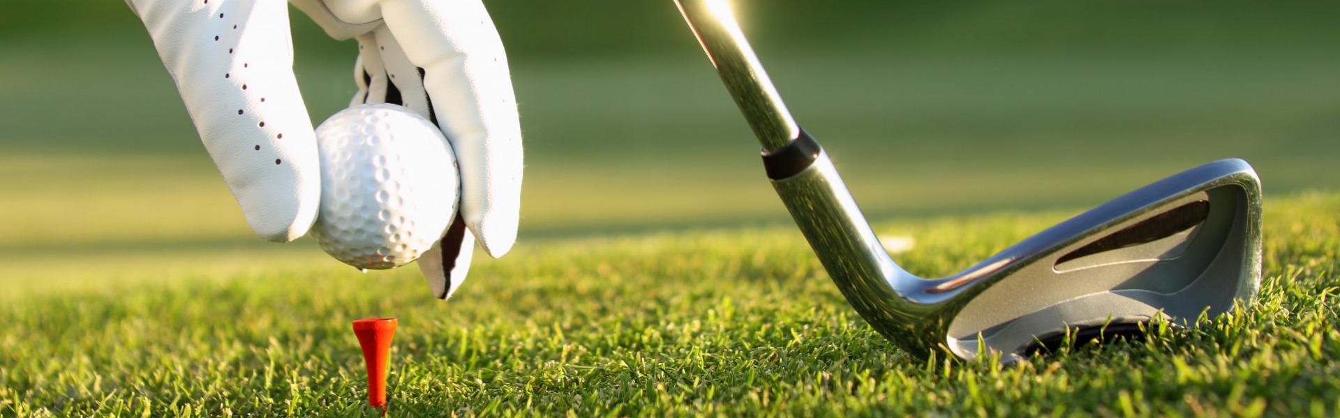 Golf Pro Sales -Golf Pro Sales the golf house 240108092214 240110140030